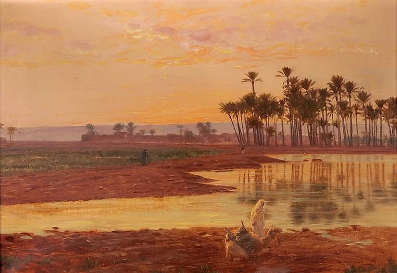 Riposo nell'oasi al tramonto